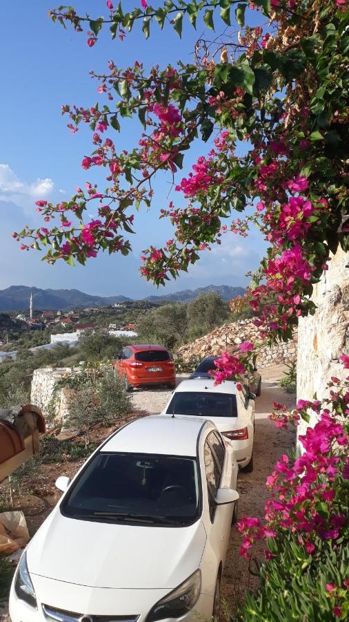 Istlada Tas Ev Apart - Kekova View Kapaklı Exterior foto